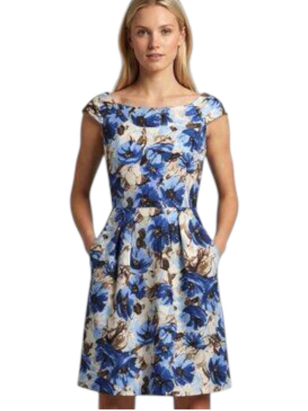 Banana Republic Blue/Cream/Brown Floral Silk Scoop Neck Fit-and-Flare Dress (0)